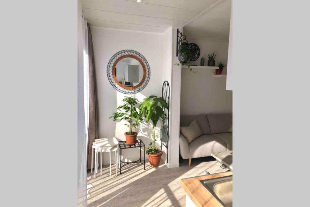 Grand studio cabine 30 m² centre ville, refait à neuf pour vous ! Climatisé La Grande Motte Extérieur photo
